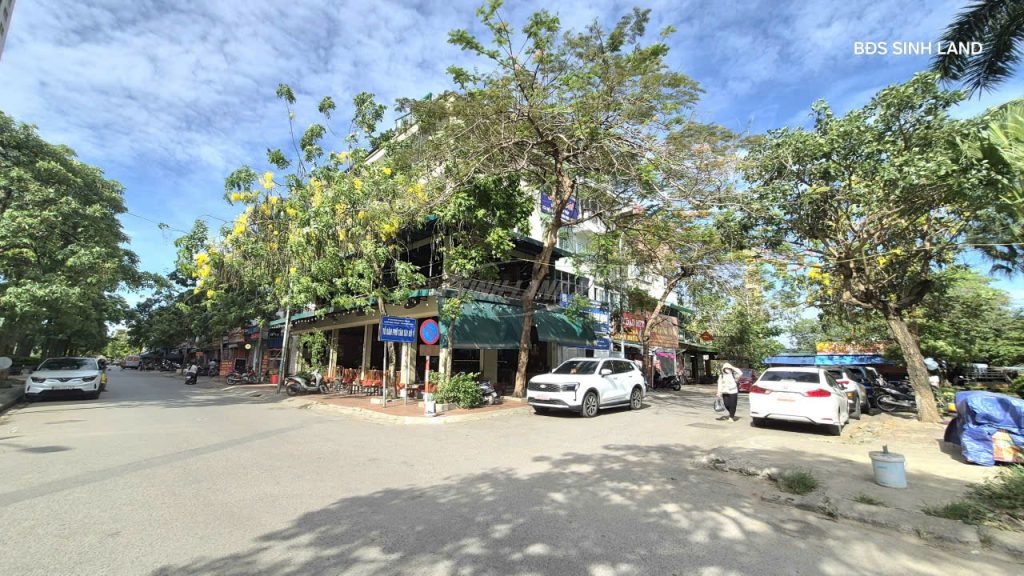 Thị trường bất động sản Tân Tây Đô