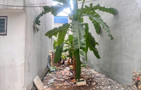bán đất thổ cư Hậu Ái Vân Canh