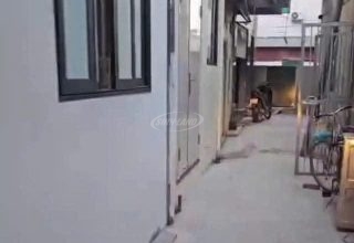 Bán đất Đại Tự xã Hoài Đức