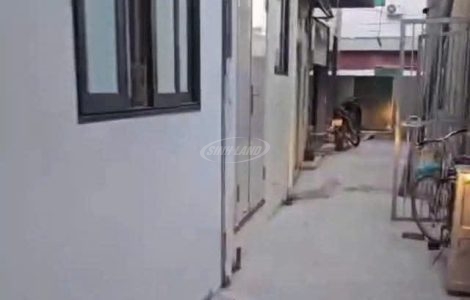 Bán đất Đại Tự xã Hoài Đức