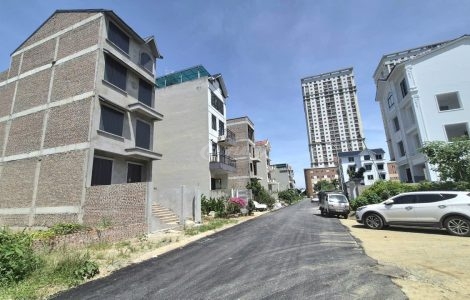 so sánh tân việt tân tây đô