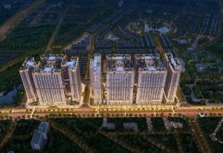 The Flame Vine tác động đến đất dịch vụ Di Trạch