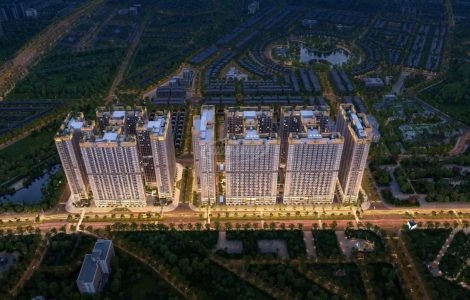The Flame Vine tác động đến đất dịch vụ Di Trạch