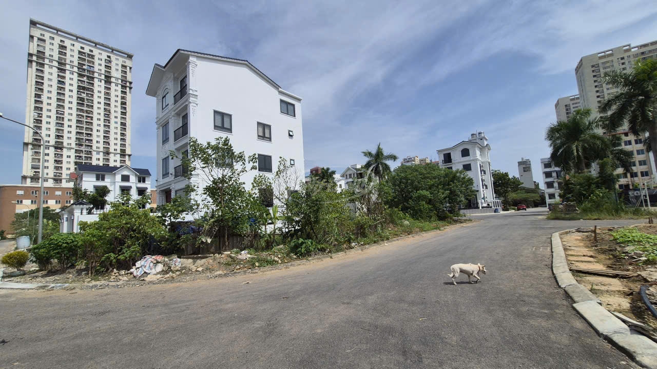 sinh land bất động sản Tân Việt