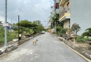 Bán đất dịch vụ cạnh trường Thành Đô