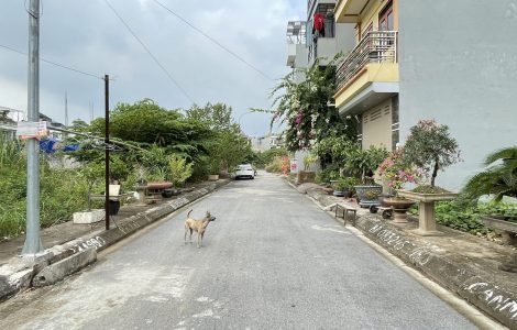Bán đất dịch vụ cạnh trường Thành Đô