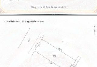 chính chủ bán đất đồng sậy đan phượng