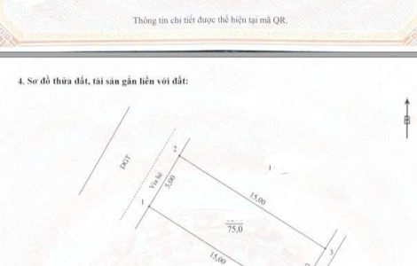 chính chủ bán đất đồng sậy đan phượng