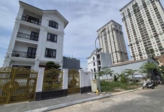 môi giới Tân Việt Đức Thượng