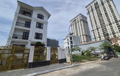 môi giới Tân Việt Đức Thượng