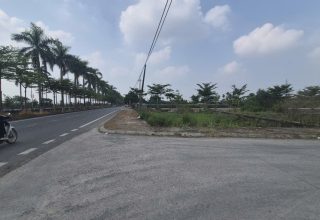 đất đấu giá Hạ Mỗ xã Ô Diên