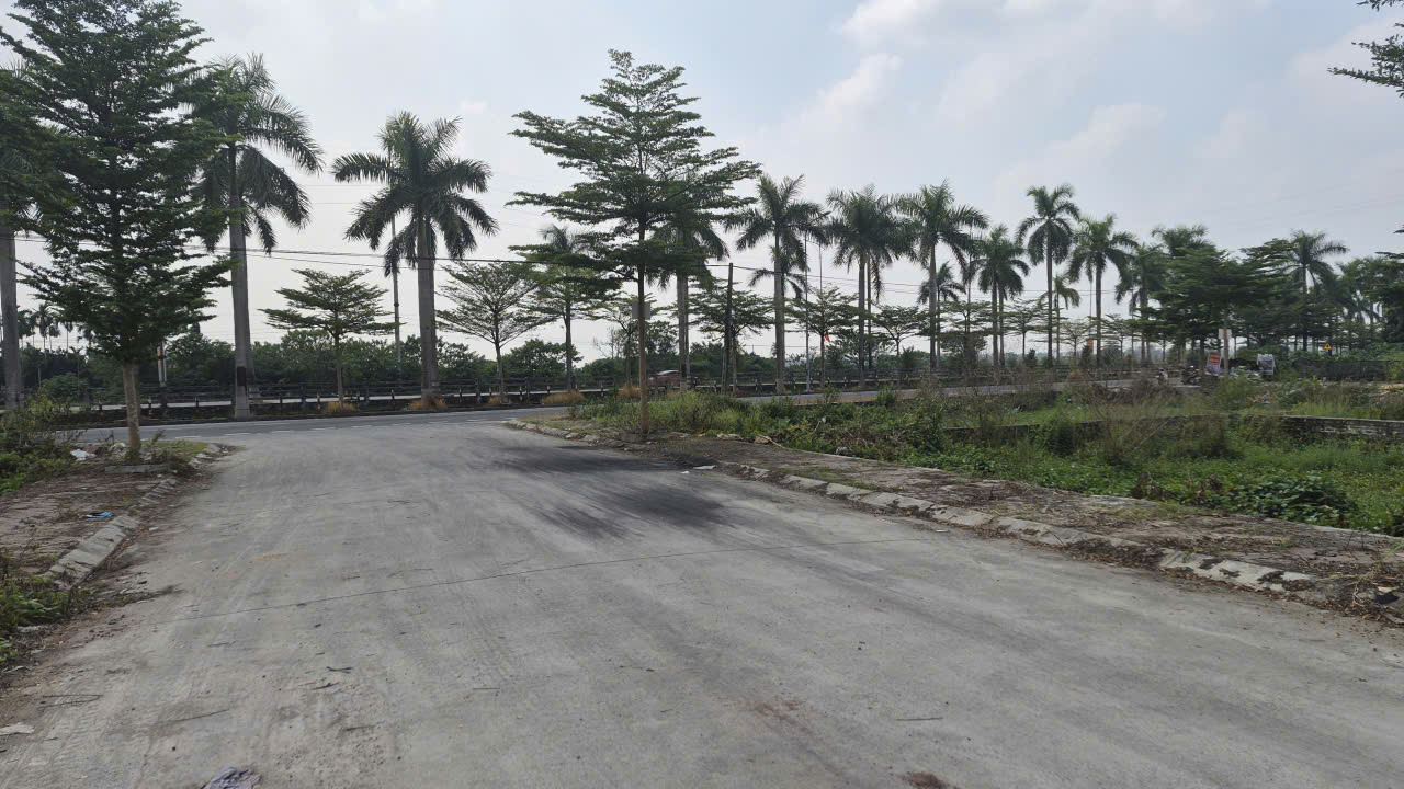 đất đấu giá Hạ Mỗ xã Ô Diên 1