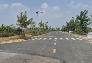 mua đất đấu giá Đồng Sậy Đan Phượng
