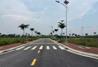 Bán đất đấu giá Hạ Mỗ Ô Diên