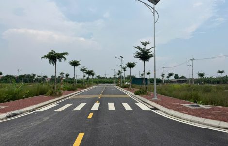 Bán đất đấu giá Hạ Mỗ Ô Diên