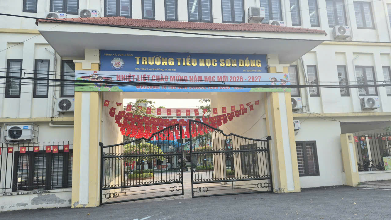 trường tiểu học sơn đồng